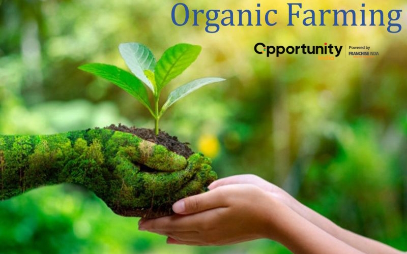 How to Start Organic Farming: Profitable Business Plan?